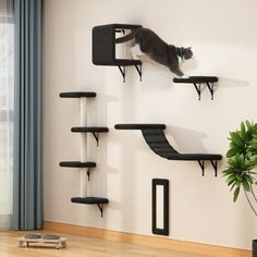 a cat climbing up the side of a wall shelf