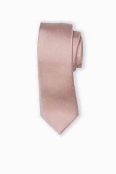 Groomsmen skinny neck tie and menswear accessory that’s perfect for special occasions, weddings, and formal events. Available in Dusty Rose Dot. Rose Gold Bridal Party, Gold Bridal Party, Blue And Rose Gold, Chic Bridesmaid Dresses, Ring Bearer Dog, Groomsmen Accessories, Bow Tie Hair, Dusty Rose Bridesmaid Dresses, Rose Bridesmaid Dresses