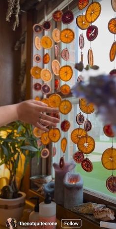 a person reaching out to touch a window with oranges hanging from it's side