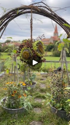 a garden filled with lots of plants and hanging baskets