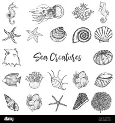 sea creatures drawn in black and white on a white background with the words sea creatures