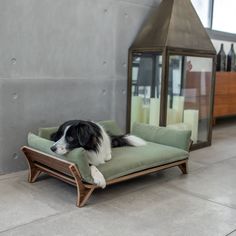 a black and white dog laying on top of a green couch next to a lamp