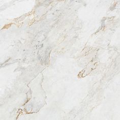 white marble with gold veining on the edges