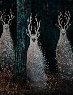 two white deer standing next to each other in the woods at night with glowing eyes