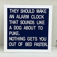 there is a sign that says they should make an alarm clock that sounds like a dog about to puke nothing gets you out of bed faster