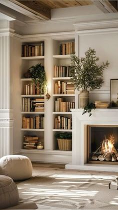 a living room with a fire place and bookshelves filled with lots of books