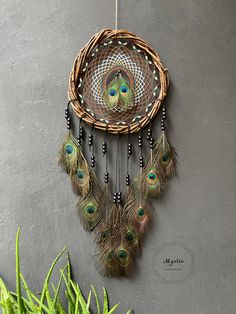 a peacock feather dream catcher hanging on the wall