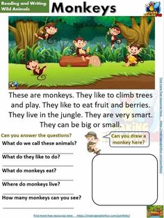 the worksheet for reading and writing about monkey's in the jungle with answers