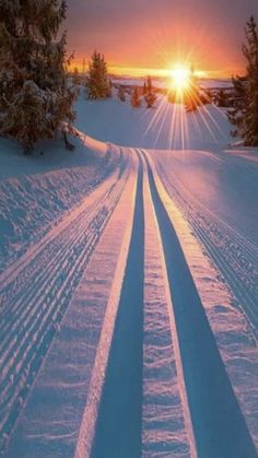 the sun is setting over some snow covered trees and tracks in the snow with cross country skis on them