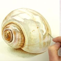 a drawing of a snail being drawn by someone's hand with colored pencils