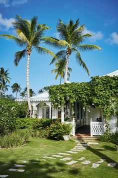 a white house surrounded by palm trees and greenery