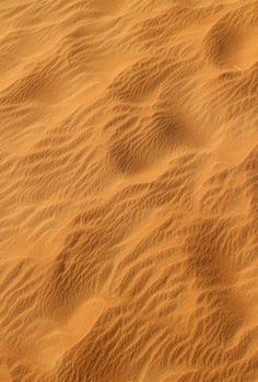 footprints in the sand on a sunny day with no people or animals to see them