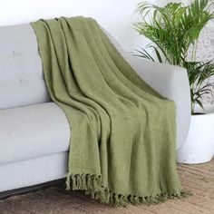 a couch with a green blanket on top of it next to a potted plant