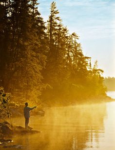 a man standing on top of a river next to a forest