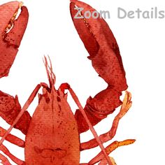 a watercolor painting of a lobster on a white background with the words zoom detail above it