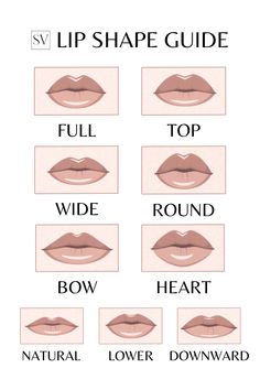 the lip shape guide for different types of lips