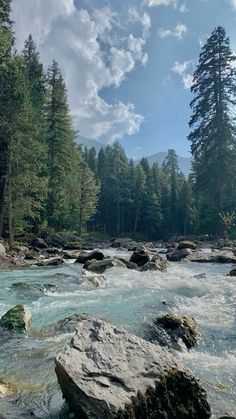 a river running through a forest filled with rocks