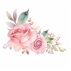 watercolor painting of pink roses and leaves