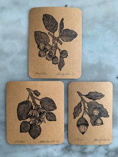 three coasters with leaves and berries on them