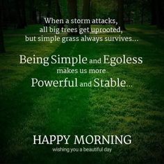 a green grass field with trees in the background and text saying happy morning wishing you a storm attacks, all big trees get uproad