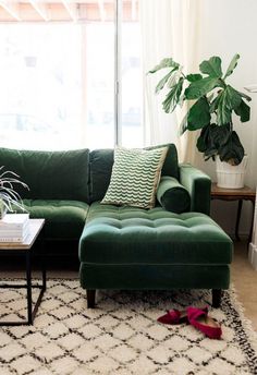 a living room with a green couch and white rug