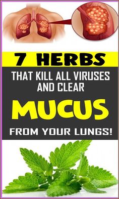 Clear Mucus, Fruit Recipes Healthy, Newborn Feeding, Healthy Lifestyle Quotes, Football Party Food, Women Health Care, Health Dinner Recipes, Men's Health Fitness, Workout Pictures