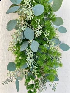 the green leaves and branches are hanging on the wall