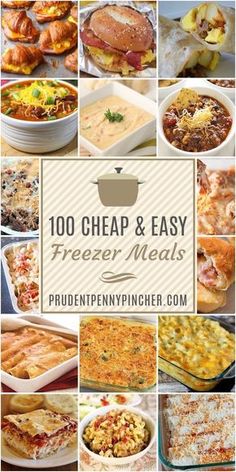 the top 10 cheap and easy freeze meals