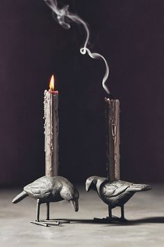 Get the most out of (g)hosting this spooky season with our 2024 collection of Halloween décor. Once upon a midnight dreary... this crow candle holder creates a frightfully delightful décor piece for your Halloween table or mantel. | Crow Taper Candle Holder by Anthropologie Modern Halloween Decor, Pumpkin Candle Holder, Halloween Trends, Spooky Art, Gold Pumpkins, Modern Halloween, Iron Candle Holder, Taper Candle Holder, Pumpkin Candles