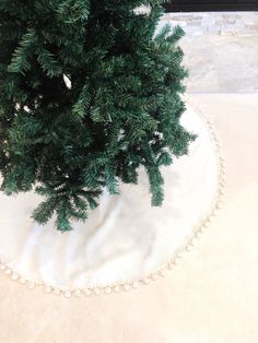 a small green tree in a white potted planter on top of a table