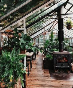 the inside of a greenhouse with lots of green plants and potted plants in it