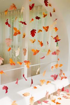 an arrangement of autumn leaves floating in the air over a white surface with sheer curtains