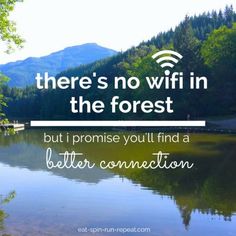 there is no wifi in the forest but i promise you'll find a better connection