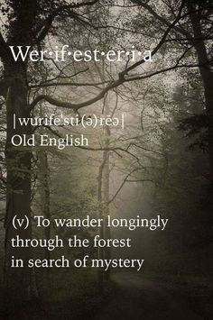 a forest with trees and fog on the ground, in front of it is an old english