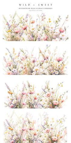 three different images of wildflowers and other flowers