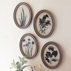 three framed flowers are on the wall above a desk with books and pencils in front of it