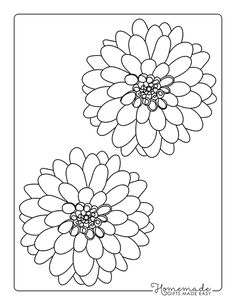 two large flowers are shown in black and white, with one flower on the left side