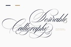 some type of calligraphy that has been used to create the font for this project