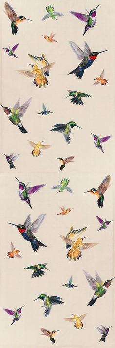 a group of colorful birds flying through the air on top of a white sheet with multicolored wings