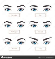 Brow Trimming, Glasses Shapes, Brow Shapes, Mircoblading Eyebrows, Types Of Eyebrows, Maquillage Yeux Cut Crease, Permanente Make-up, Eyebrow Shapes, Mekap Mata