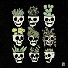 skulls with plants and succulents on their heads are shown in this illustration