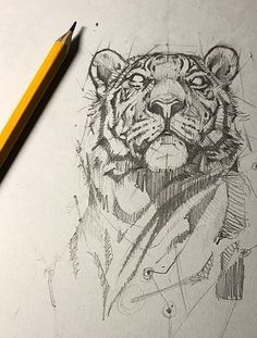 a pencil drawing of a tiger wearing a suit