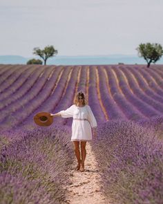 a woman in a white dress is walking through a lavender field with her hat on