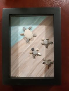 a shadow frame with rocks in the shape of turtle and turtle on it's back