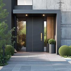 an entrance to a modern home with two large plants