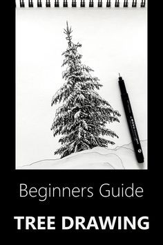 the beginner's guide to tree drawing, with an image of a pine tree