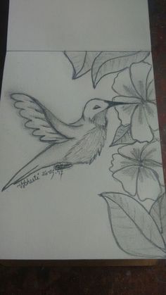 a pencil drawing of a hummingbird and flowers