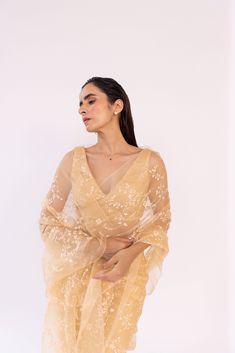 Featuring a walnut pre-stitched saree in embroidered silk organza base. It is paired with a v neckline blouse. Color: BEIGE FABRIC: SILK ORGANZA Delivery time 15 to 20 days Bollywood Style V-neck Blouse With Resham Embroidery, Festive V-neck Georgette Blouse Piece, Elegant Embroidered V-neck Blouse Piece, Elegant V-neck Blouse For Festive Occasions, Elegant Festive V-neck Blouse, Elegant Festive Sheer Blouse, Evening Organza Saree With Resham Embroidery, Evening Saree With Resham Embroidery In Organza, Elegant V-neck Lehenga With Zari Work