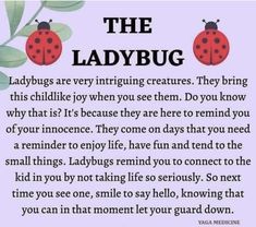 the ladybug poem with two ladybugs on it's back ground