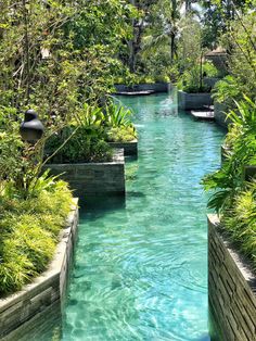 an outdoor swimming pool surrounded by greenery and water features several planters on either side